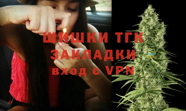 сатива Новокубанск