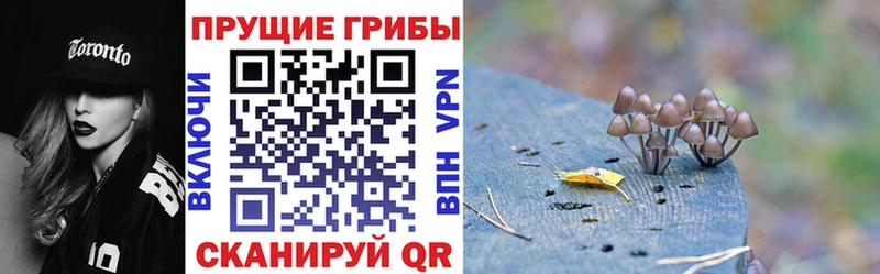 Галлюциногенные грибы MAGIC MUSHROOMS  купить наркоту  Мыски 