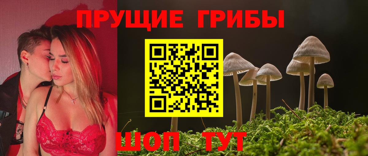 Мыски  Галлюциногенные грибы ЛСД  Вход с VPN 